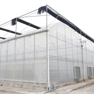8m Span Width Poly Tunnel Greenhouse For High Yield Tomato Cultivation