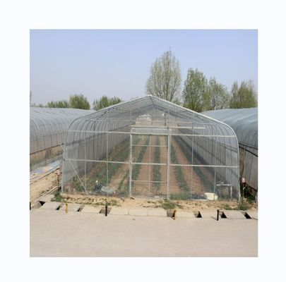 300 Square Meter Cucumber Greenhouse Single Span Tunnel Design