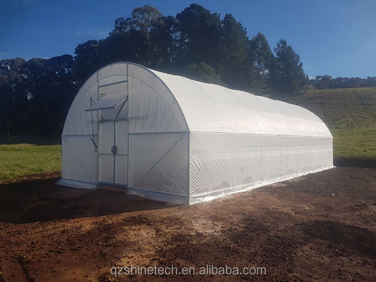 300 Square Meter Cucumber Greenhouse Single Span Tunnel Design