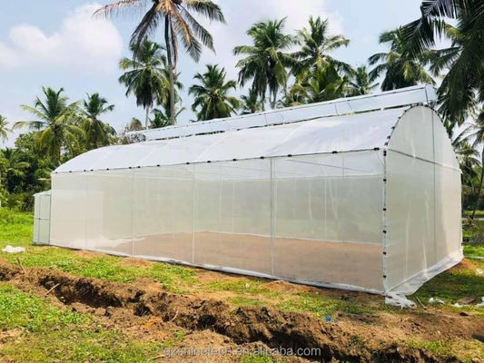 300 Square Meter Cucumber Greenhouse Single Span Tunnel Design