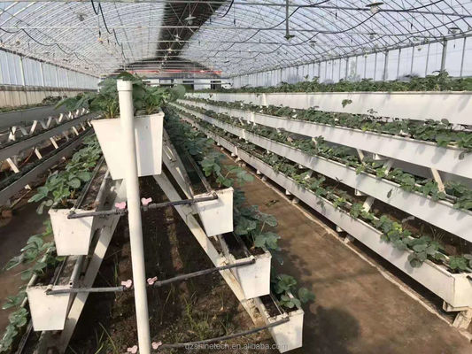 Hydroponic Planting Gutter For Growing Chili Pepper Cucumber And Strawberry