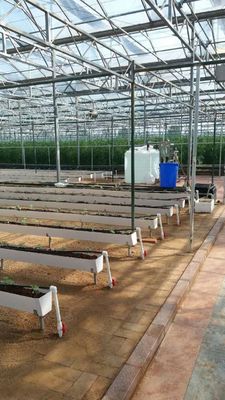 Hydroponic Planting Gutter For Growing Chili Pepper Cucumber And Strawberry