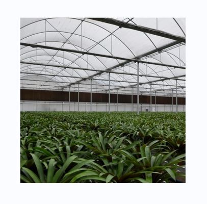 Galvanized Steel Frame Single Layer Film Greenhouse For Large Scale Commercial Farming