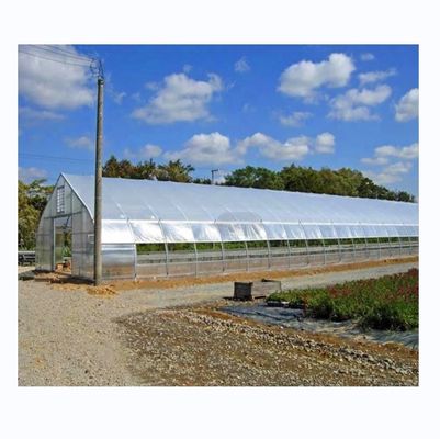 Hot Dip Galvanized Steel Tube Frame Single Span Agricultural Greenhouse For Grow Tent