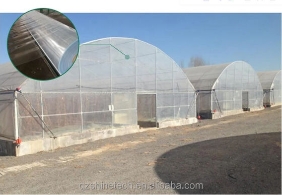 Hot Dip Galvanized Steel Tube Frame Single Span Agricultural Greenhouse For Grow Tent
