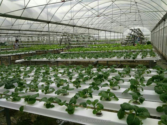 Provided Video Inspection 100*50mm PVC Planting Gully for Customized NFT Hydroponics