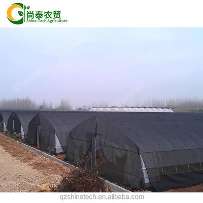 Hot Dip Galvanized Steel Tube Frame Single Span Agricultural Greenhouse For Grow Tent