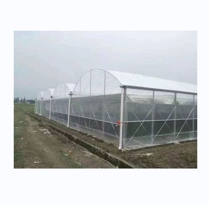 150/200 Micron Plastic Film Multi Span Greenhouse For Vegetable And Flower Growing