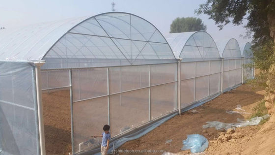150/200 Micron Plastic Film Multi Span Greenhouse For Vegetable And Flower Growing