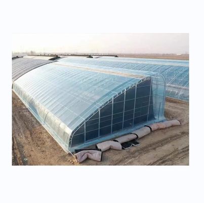 Easy Assembled Solar Greenhouse for Cold Winter Climates PE Material and PE Material