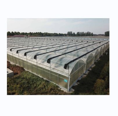 Commercial Multi Span Film Greenhouse with External Sunshade System and 4m Bay Width