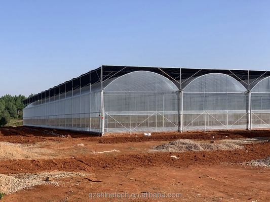 Commercial Multi Span Film Greenhouse with External Sunshade System and 4m Bay Width