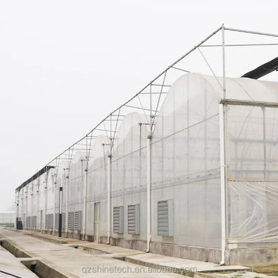 Commercial Multi Span Film Greenhouse with External Sunshade System and 4m Bay Width