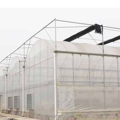Commercial Multi Span Film Greenhouse with External Sunshade System and 4m Bay Width