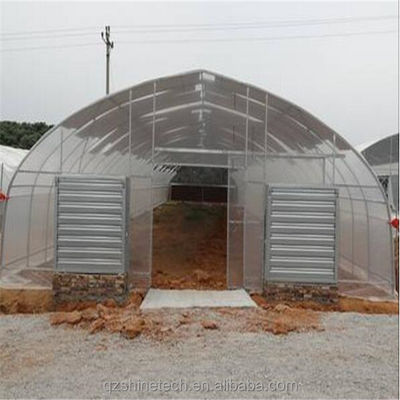 Cooling System Single Span Agricultural Greenhouses For Tomato Agriculture