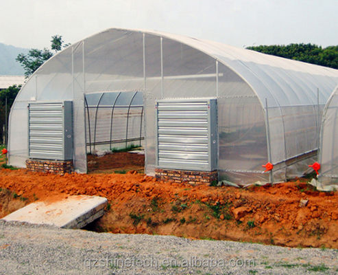 Cooling System Single Span Agricultural Greenhouses For Tomato Agriculture