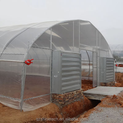 Cooling System Single Span Agricultural Greenhouses For Tomato Agriculture
