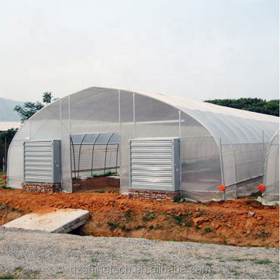 Cooling System Single Span Agricultural Greenhouses For Tomato Agriculture