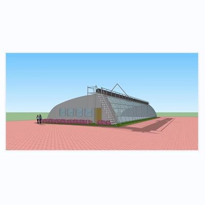 8m-16m Width PE Greenhouse for Winter Insulation Planting of Strawberries and Blanket