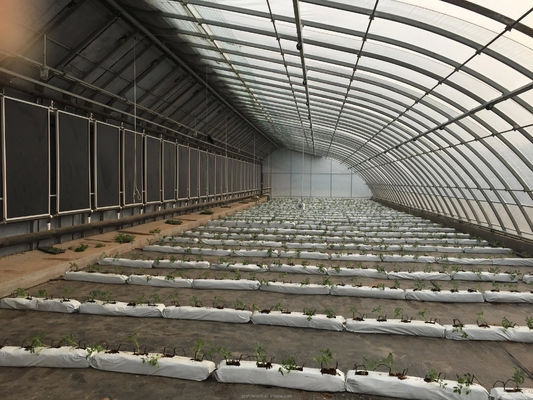 Film Covered Solar Greenhouse for Sustainable Winter Cucumber Cultivation