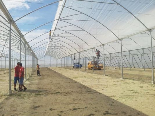 Large Sawtooth Greenhouse Shine Tech Poly Tunnel Tropical Greenhouse With Ventilation