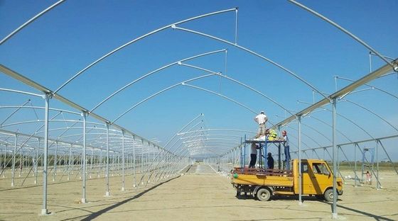 Large Sawtooth Greenhouse Shine Tech Poly Tunnel Tropical Greenhouse With Ventilation