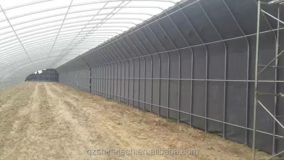 Film Covered Solar Greenhouse for Sustainable Winter Cucumber Cultivation