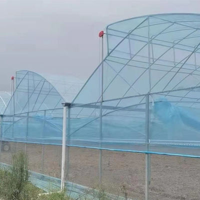 Large Sawtooth Greenhouse Shine Tech Poly Tunnel Tropical Greenhouse With Ventilation