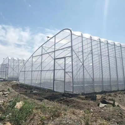Film Covered Solar Greenhouse for Sustainable Winter Cucumber Cultivation