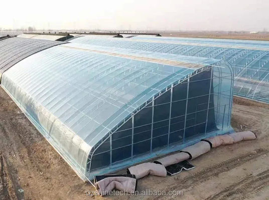 Film Covered Solar Greenhouse for Sustainable Winter Cucumber Cultivation