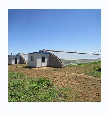 Single Span Agricultural Greenhouses Durable For Winter Vegetable Production