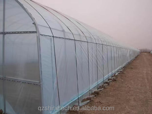 Greenhouse Film Band 200m 250m 300m Length For Agriculture Greenhouse