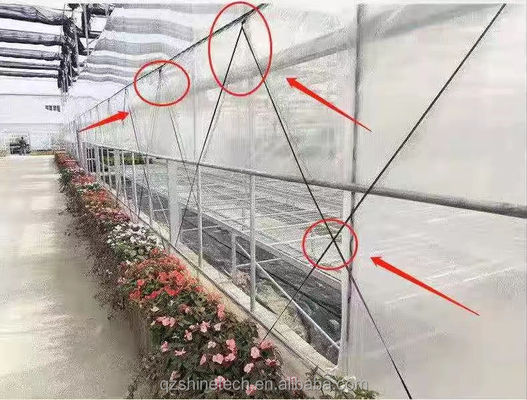 Greenhouse Film Band 200m 250m 300m Length For Agriculture Greenhouse
