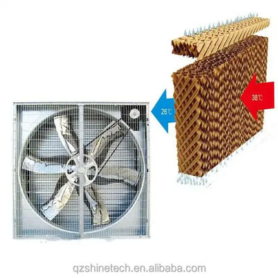 Large Air Flow Exhaust Fan For Greenhouse Poultry House Ventilation System 60KG
