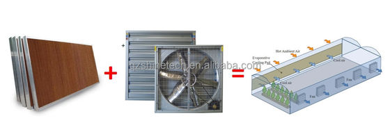 Large Air Flow Exhaust Fan For Greenhouse Poultry House Ventilation System 60KG
