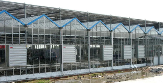 380/220V Poultry Industry Greenhouse Ventilation Exhaust Fan And Cooling Pad
